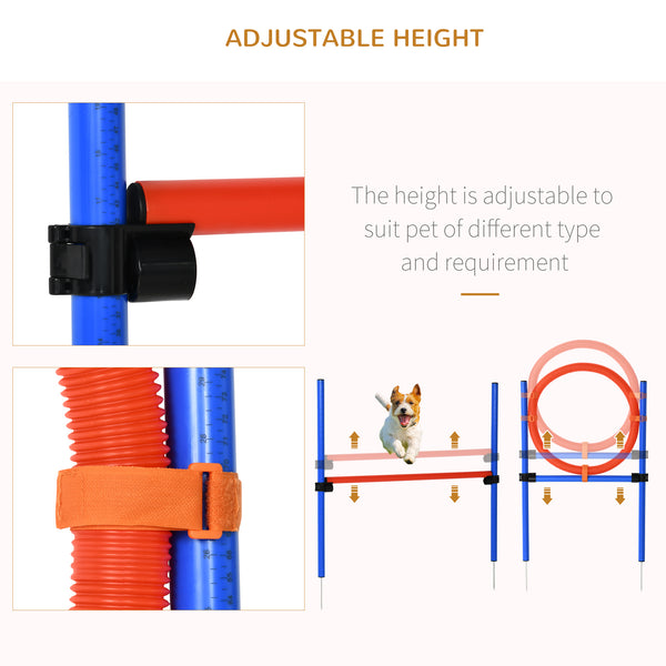 Dog Agility Training Kit