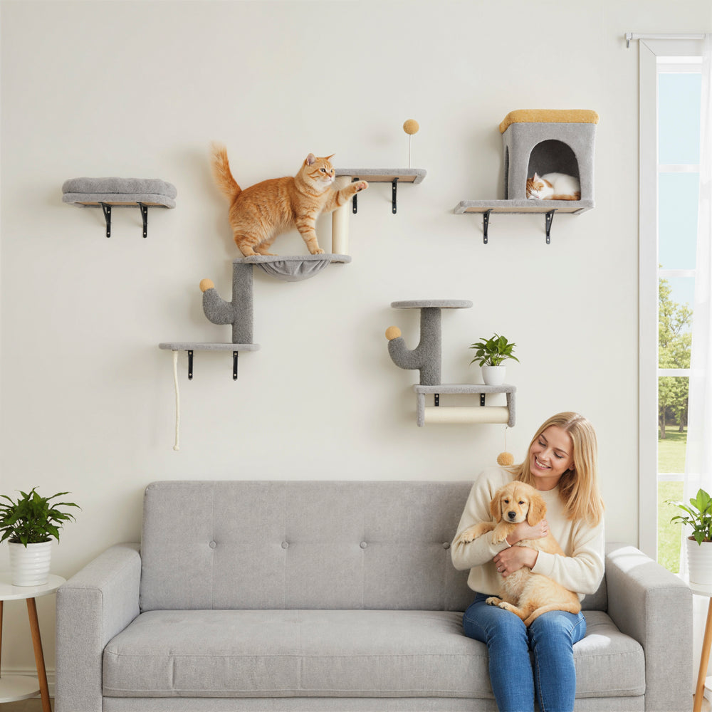 Cat climbing wall with scratching posts, cat house, hammock and perches, light grey