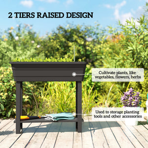 Raised garden bed with automatic watering, transparent lid and ventilation