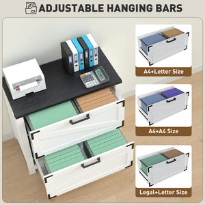 Country Style 2 Drawer Filing Cabinet with Adjustable Hanging Bars for Letter, A4, Legal Size, White
