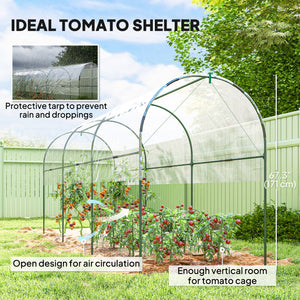 Tomato tunnel greenhouse with 4 hoops