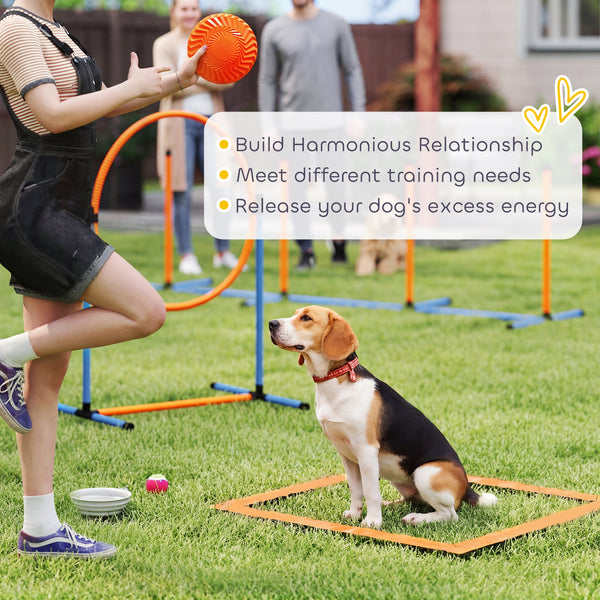 11-Piece Dog Agility Training Equipment Set, Pet Obstacle Course with 2 Tunnels, Adjustable Jumps, Orange Blue