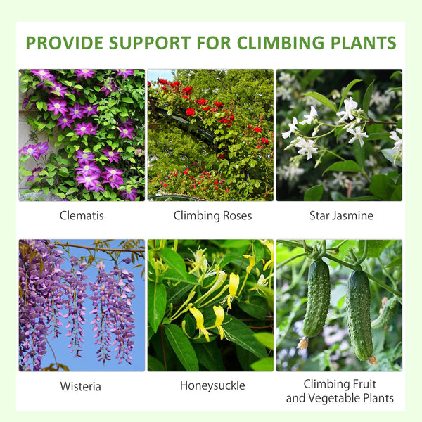 Set of 2 garden trellises for climbing plants