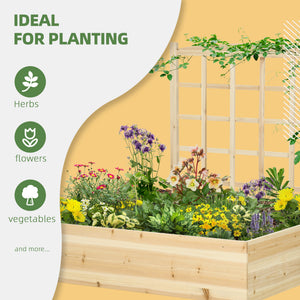 Raised wooden planter with trellis for climbing plants