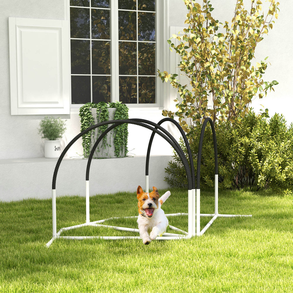 Dog agility course, black
