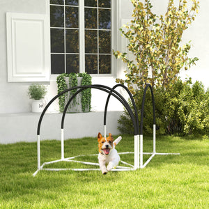 Dog agility course, black