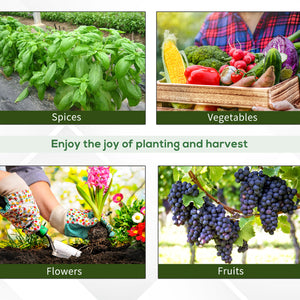 Large garden greenhouse for seedlings, high-quality steel frame