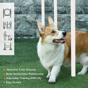 5-Piece Dog Agility Training Kit