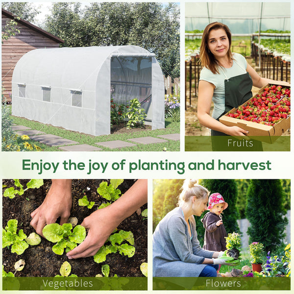 Portable tunnel greenhouse with door and ventilation window, white