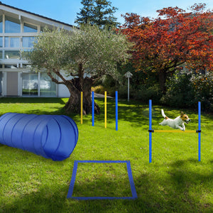 Outdoor dog training kit
