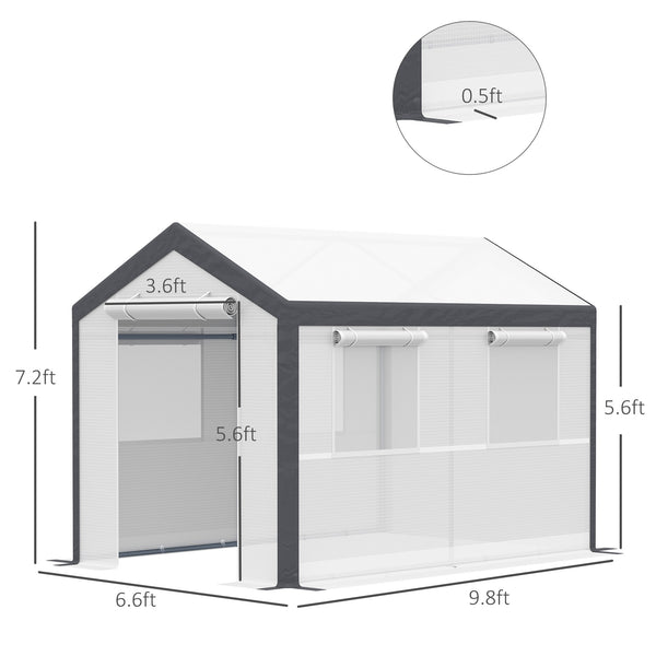Sturdy garden greenhouse for vegetable seedlings