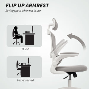 Ergonomic mesh office chair with lumbar support, grey