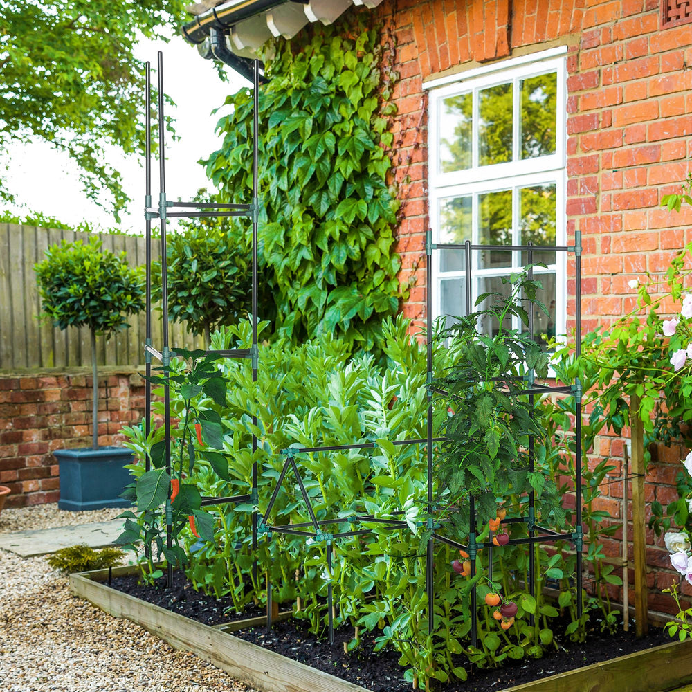 3 Pack 183cm Tomato Plant Supports for Climbing Vegetables, Flowers and Fruits, Dark Green