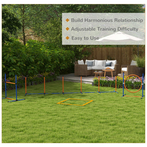 Dog Agility Training Equipment with Carry Bag