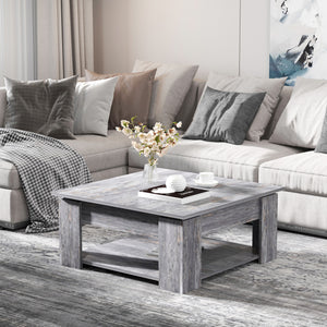Modern coffee table with storage shelf, gray