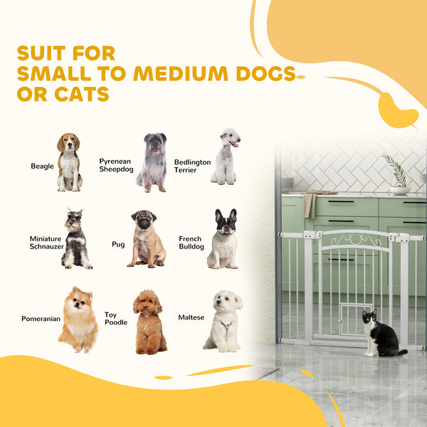 Dog gate with small door