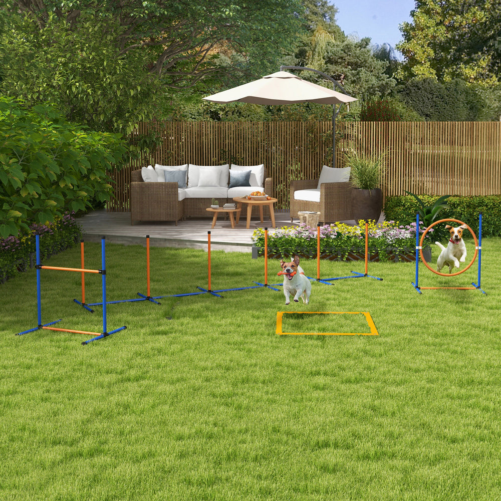 Dog Agility Training Equipment with Carry Bag