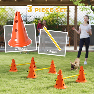 Set of agility cones and hurdles for dogs, orange
