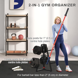 Gym Organizer with Rack for Discs and Dumbbells
