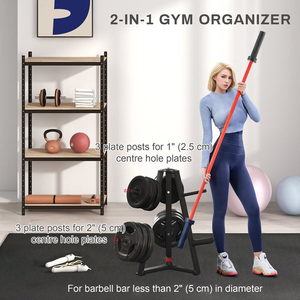 Gym Organizer with Rack for Discs and Dumbbells