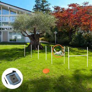 5-Piece Dog Agility Training Kit