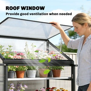 Polycarbonate garden greenhouse with shelves, black 
