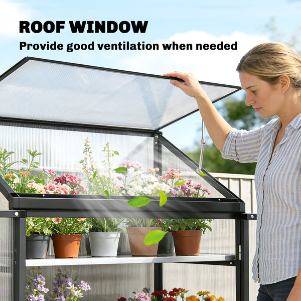 Polycarbonate garden greenhouse with shelves, black 