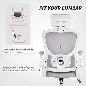 Ergonomic mesh office chair with headrest and lumbar support, grey